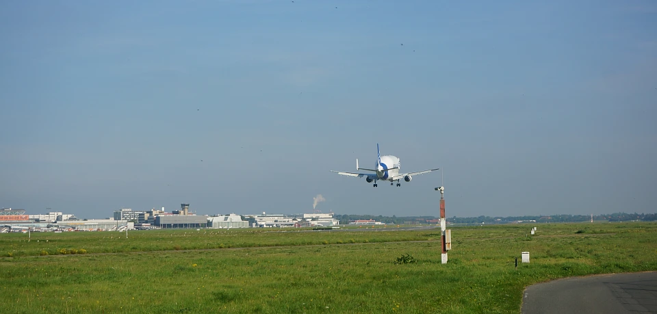 Beluga im Anflug